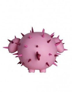 Cactus Friends: Porcino - Nike

